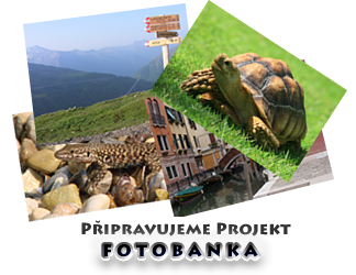 FOTOBANKA
